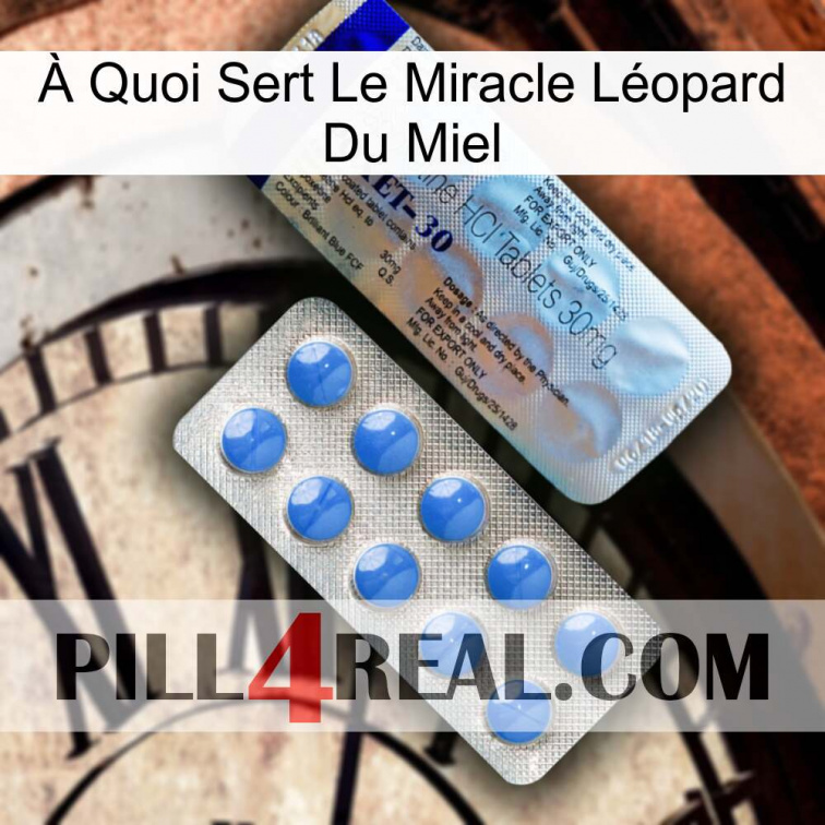 À Quoi Sert Le Miracle Léopard Du Miel 39